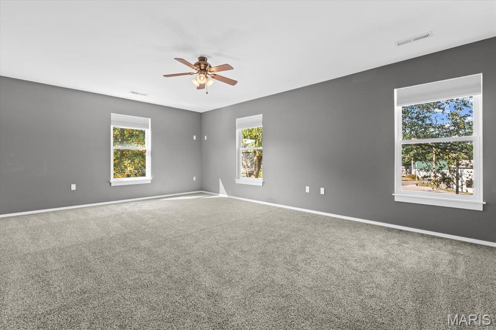 621 Morrison Avenue Waterloo, IL 62298 - Photo 38 of 49