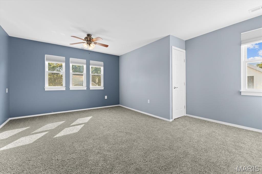 621 Morrison Avenue Waterloo, IL 62298 - Photo 47 of 49