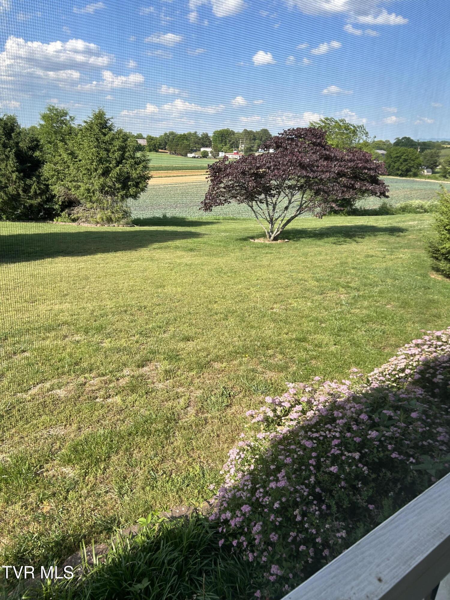 210 Ebenezer Loop Chuckey, TN 37641 - Photo 52 of 59 IMG_1286