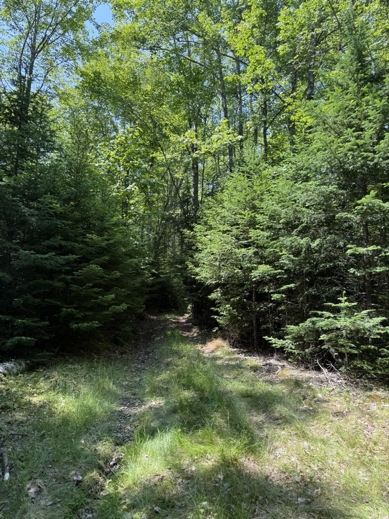M7-l 5 6 Pineo Point Road Harrington, ME 04643 - Photo 29 of 45 IMG_5345
