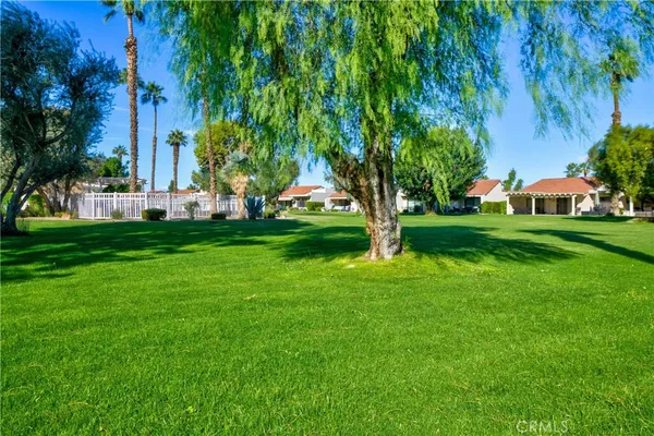 a view of a park with large trees