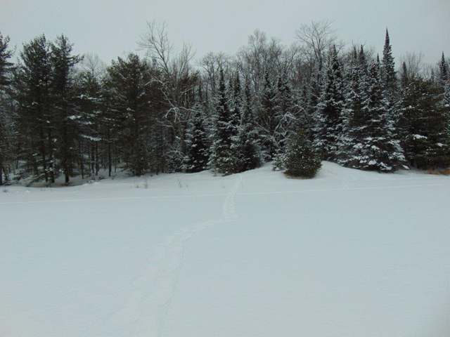 6458 High Lake Road Land O'Lakes, WI 54540 - Photo 5 of 8 Gallery Image 5