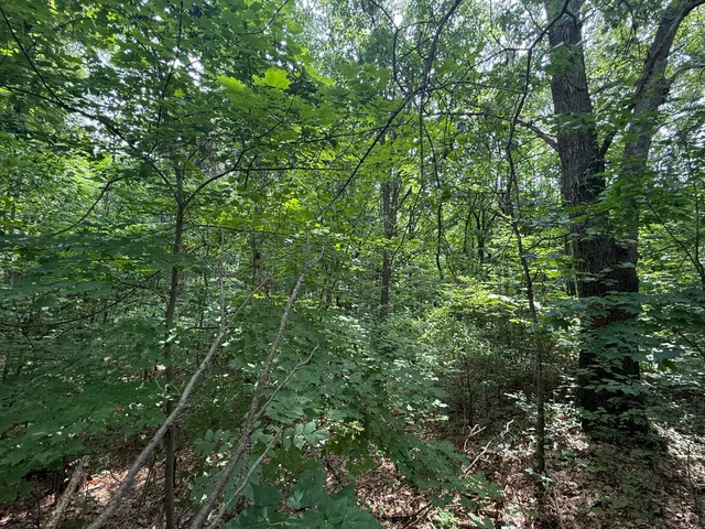 $54,000 | Vl Marcellus Highway, Dowagiac, MI 49047