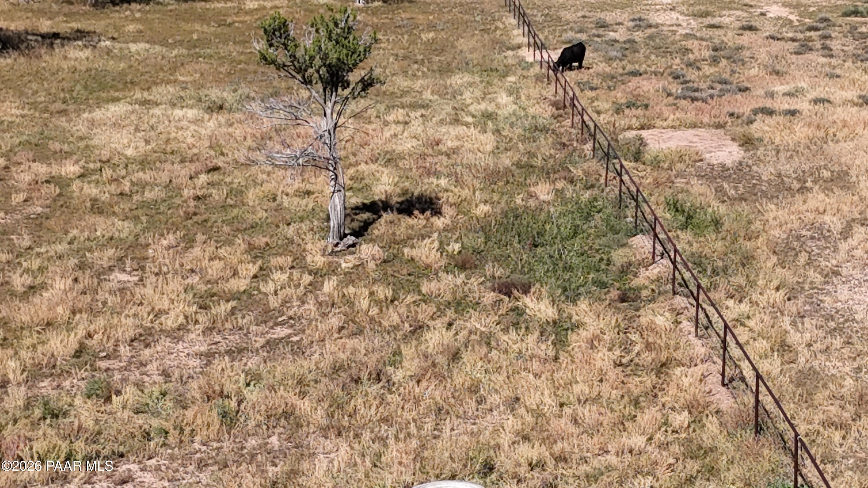 33425 Cowboy Clint Road Seligman, AZ 86337 - Photo 141 of 150 DJI_20261005043947_0050_D