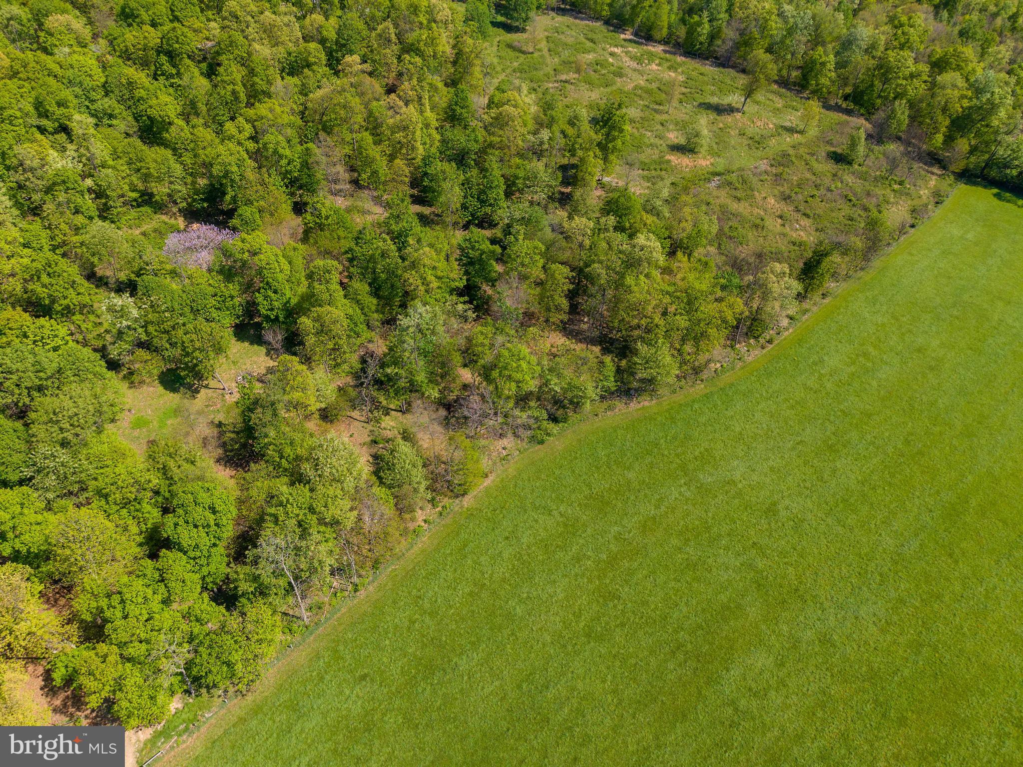 215 Droneberger Road Blain, PA 17006 - Photo 13 of 81