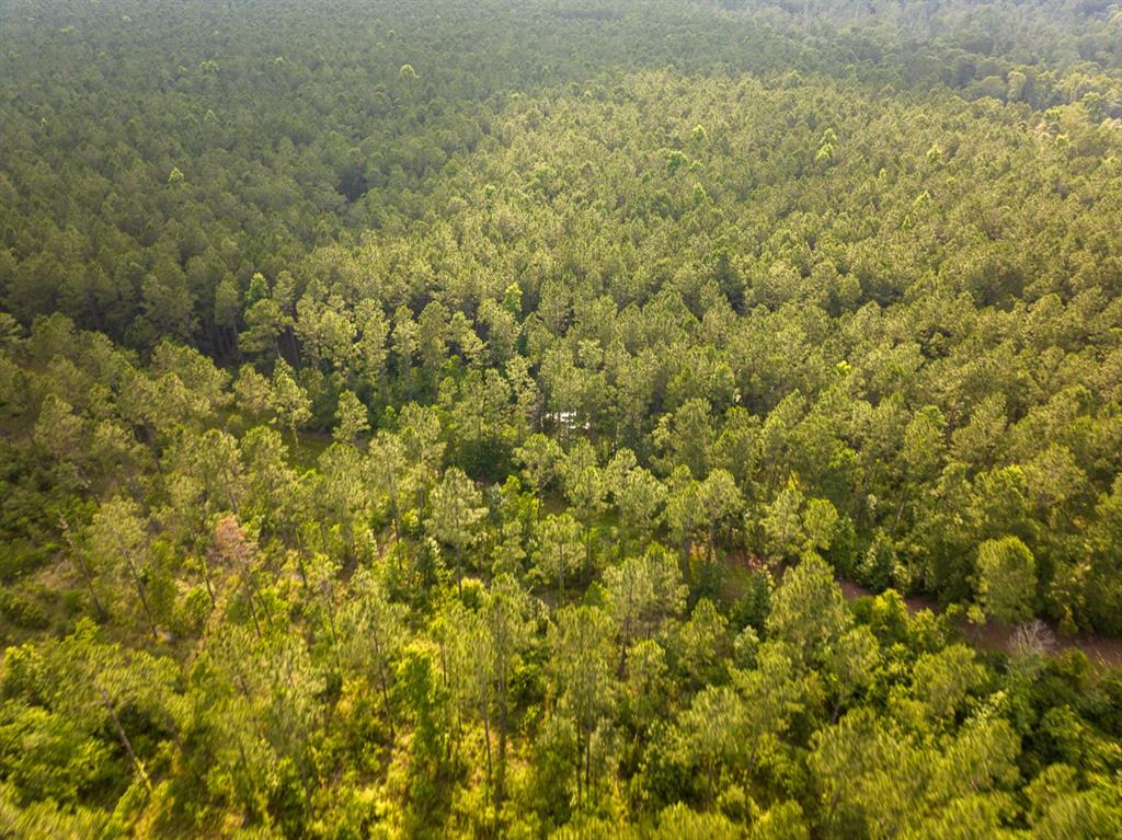 0 Highway 165 Kinder, LA 70648 - Photo 10 of 11