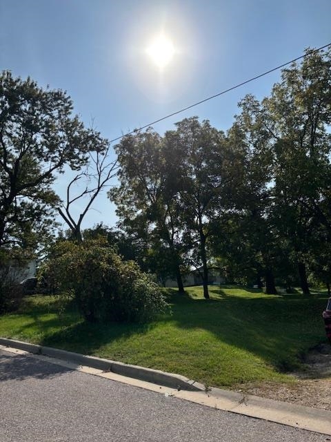 308 North Brooklyn Avenue Elroy, WI 53929 - Photo 10 of 10