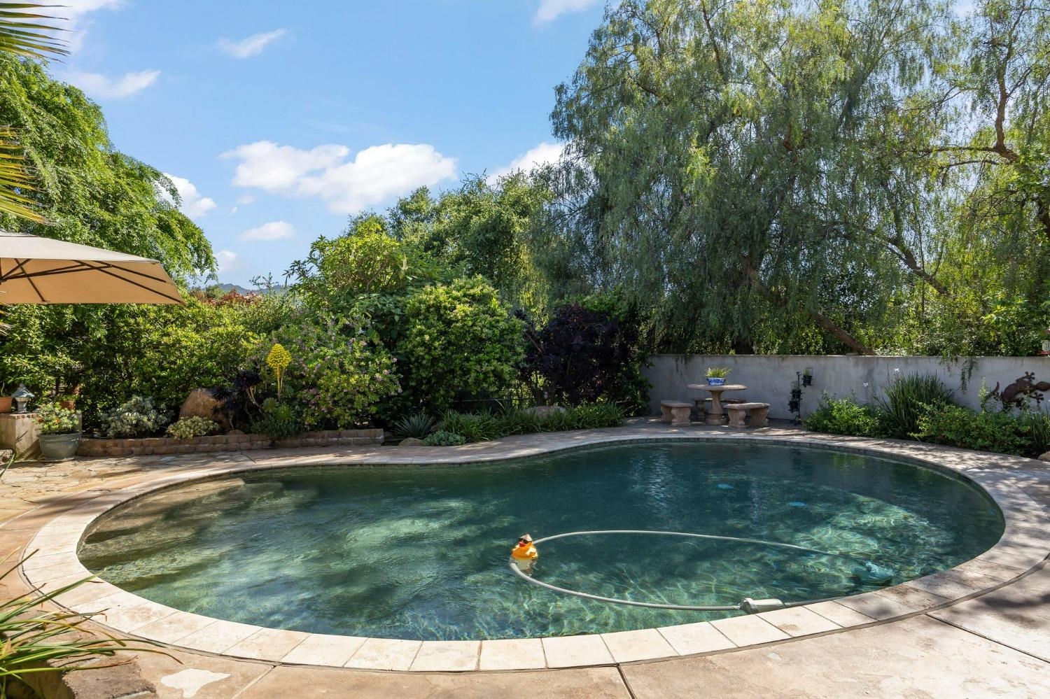 12755 Treeranch Road Ojai, CA 93023 - Photo 22 of 46 Gallery Image 22