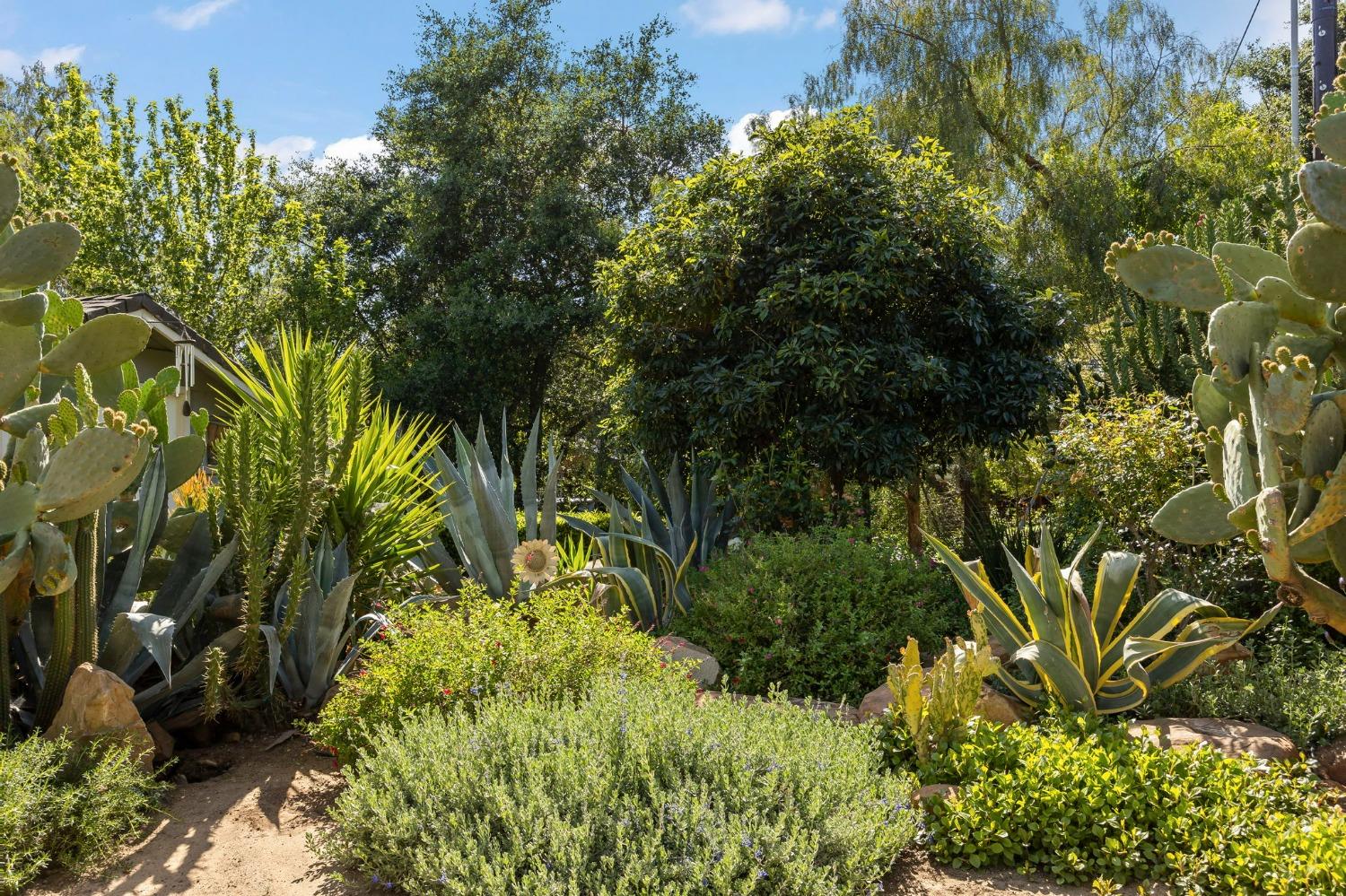 12755 Treeranch Road Ojai, CA 93023 - Photo 23 of 46 Gallery Image 23