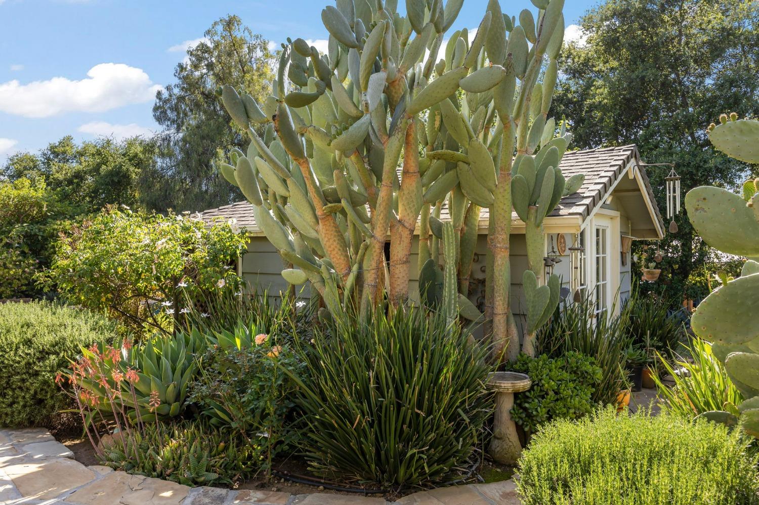 12755 Treeranch Road Ojai, CA 93023 - Photo 37 of 46 Gallery Image 37