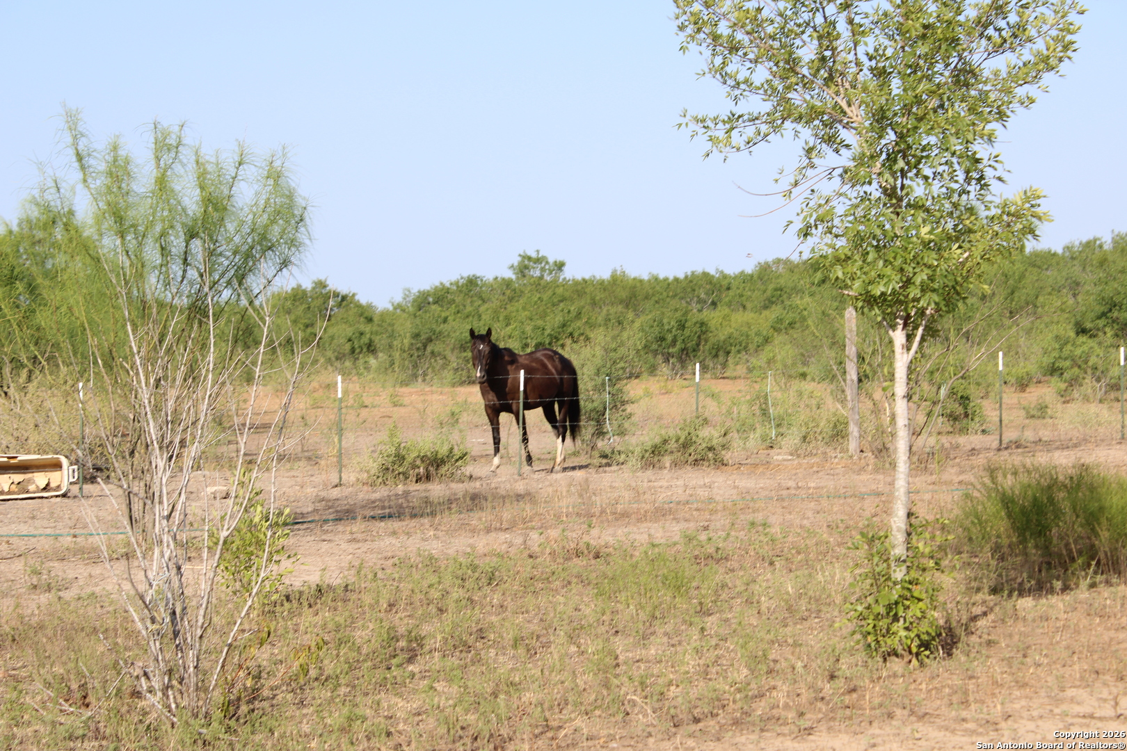 760 North Graytown Road St. Hedwig, TX 78152 - Photo 6 of 17