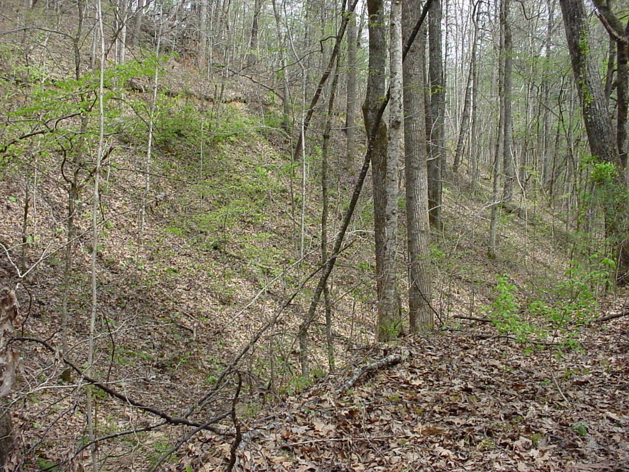 731 Carrs Creek Road Townsend, TN 37882 - Photo 12 of 20 DSC03543