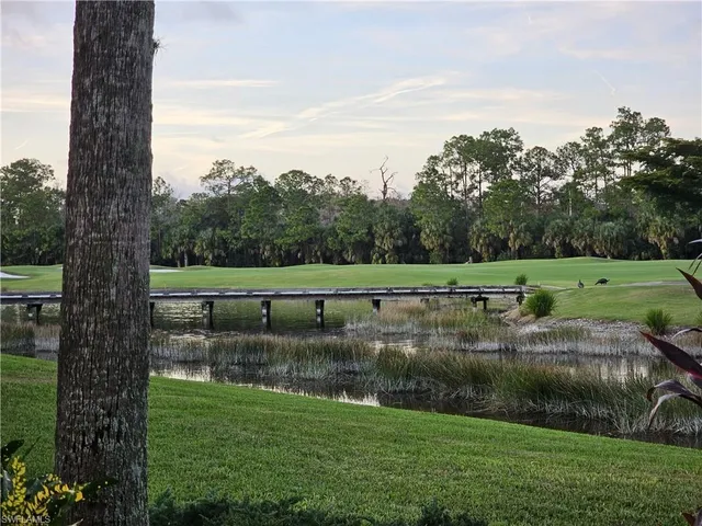 a view of a green field with a tree