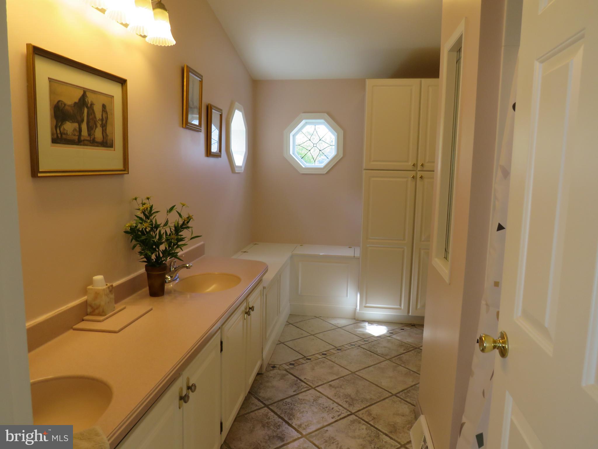 277 Countryside Circle New Hope, PA 18938 - Photo 27 of 41 Primary Bathroom