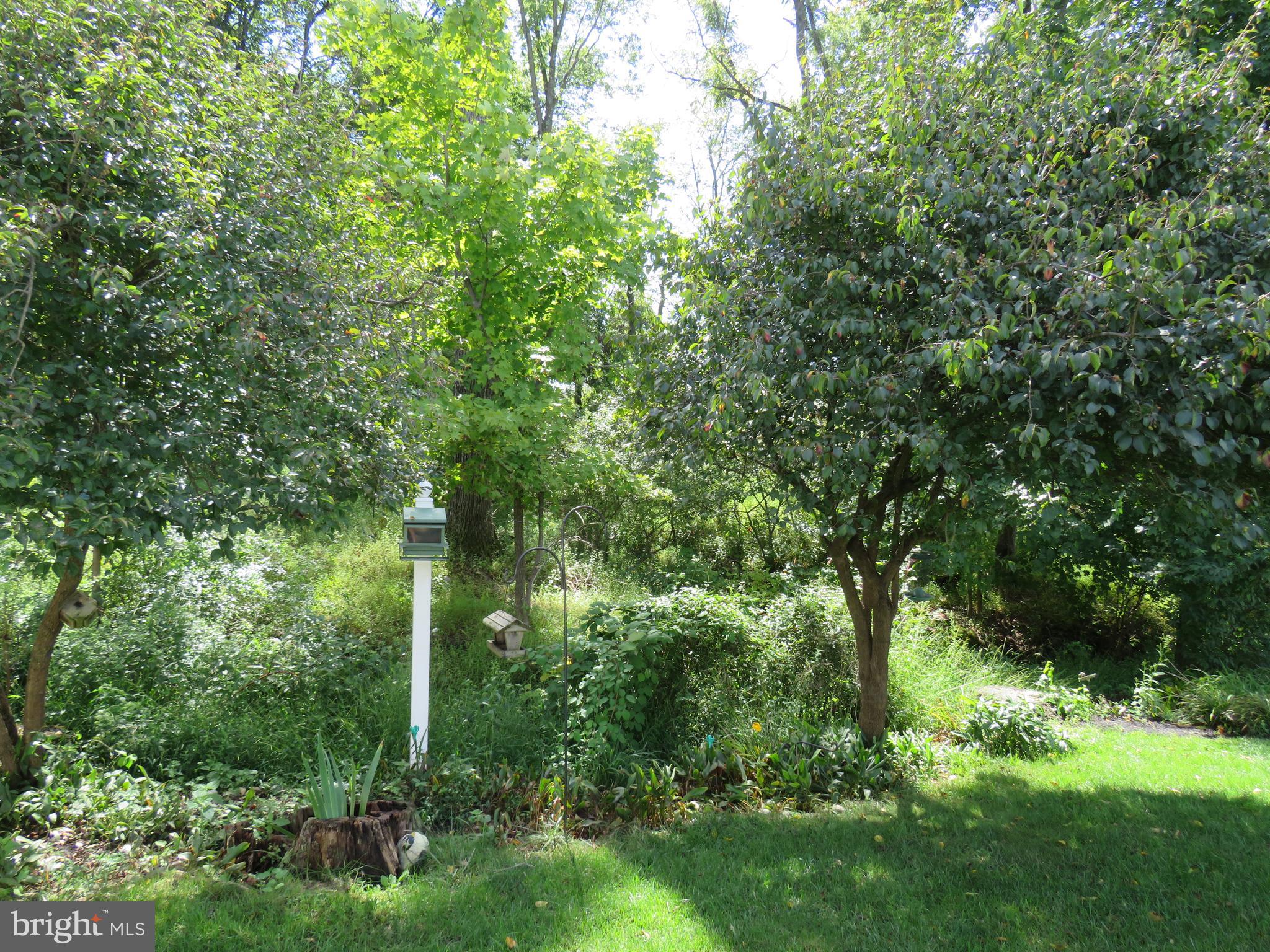 277 Countryside Circle New Hope, PA 18938 - Photo 36 of 41 View