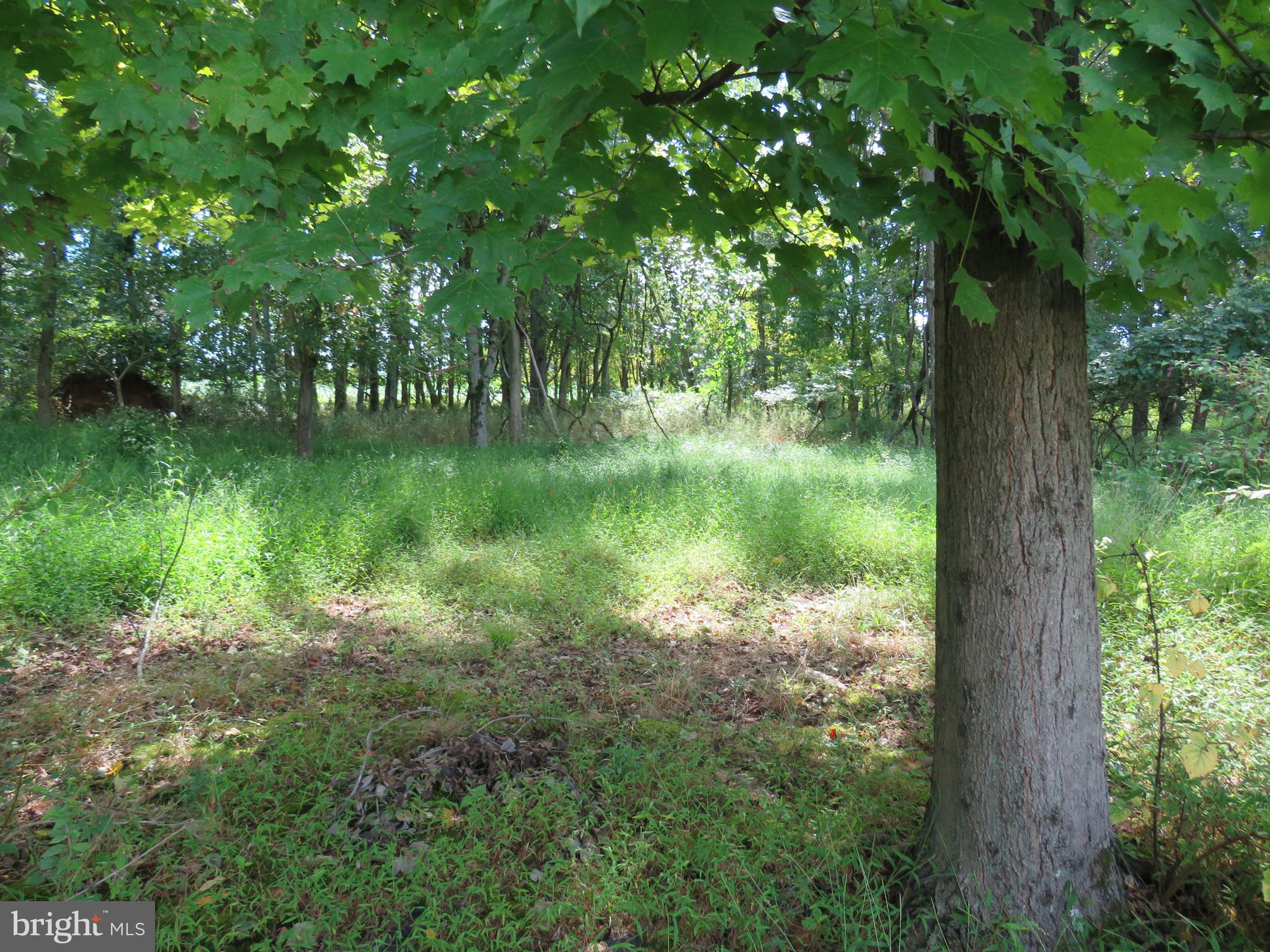 277 Countryside Circle New Hope, PA 18938 - Photo 39 of 41 View