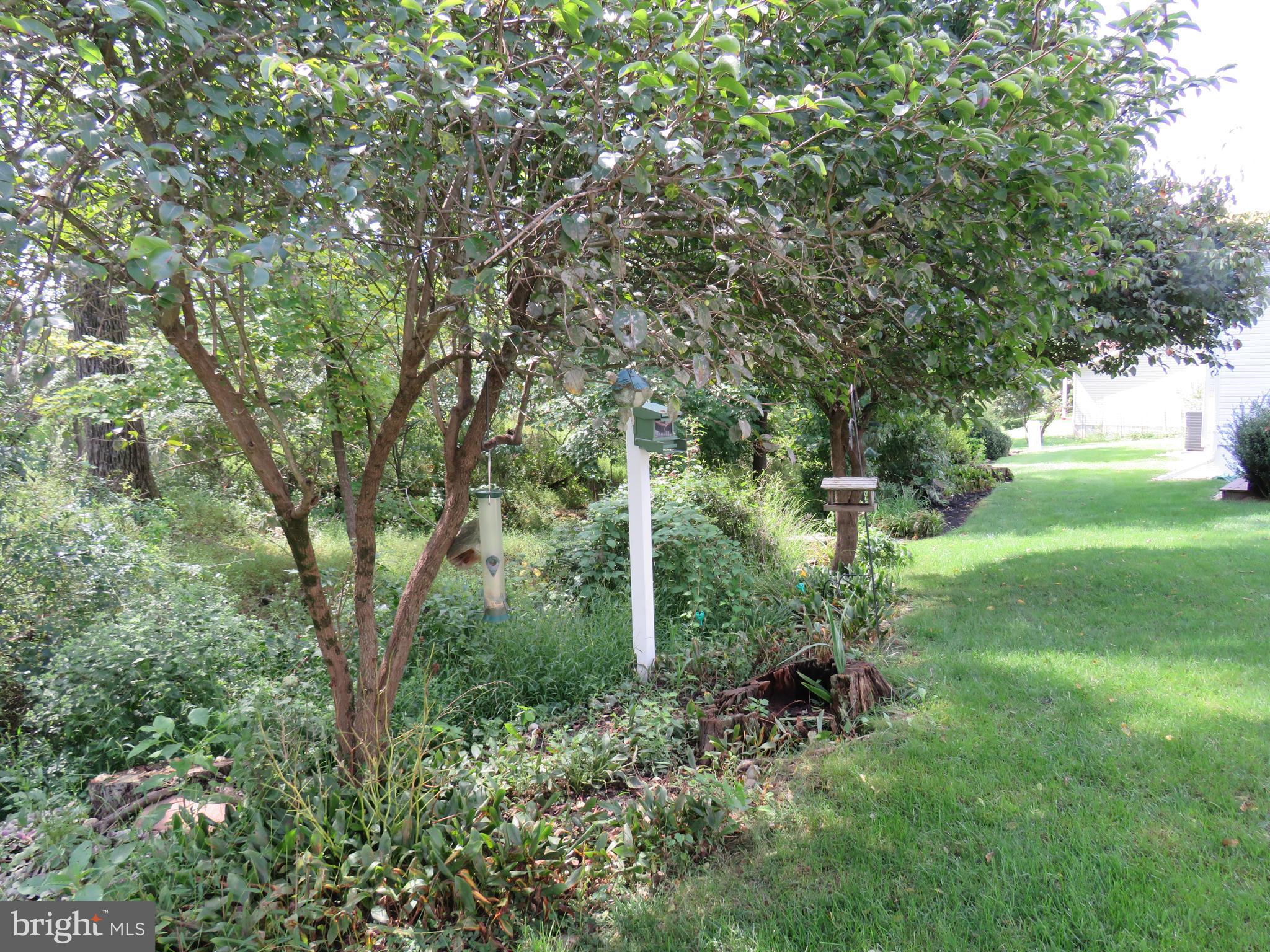 277 Countryside Circle New Hope, PA 18938 - Photo 40 of 41 View