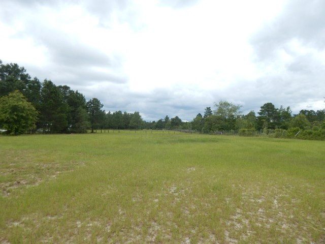 980 Kedron Church Road Aiken, SC 29805 - Photo 24 of 30
