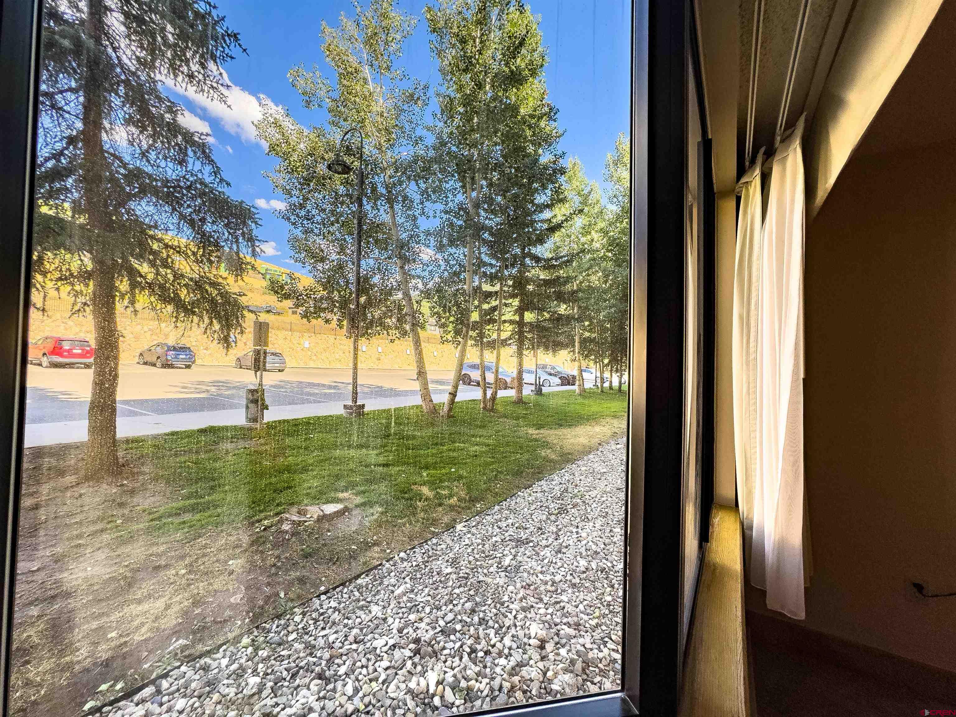 6 Emmons Road, Unit 125 Crested Butte, CO 81225 - Photo 20 of 42 a view of a yard with plants from a window