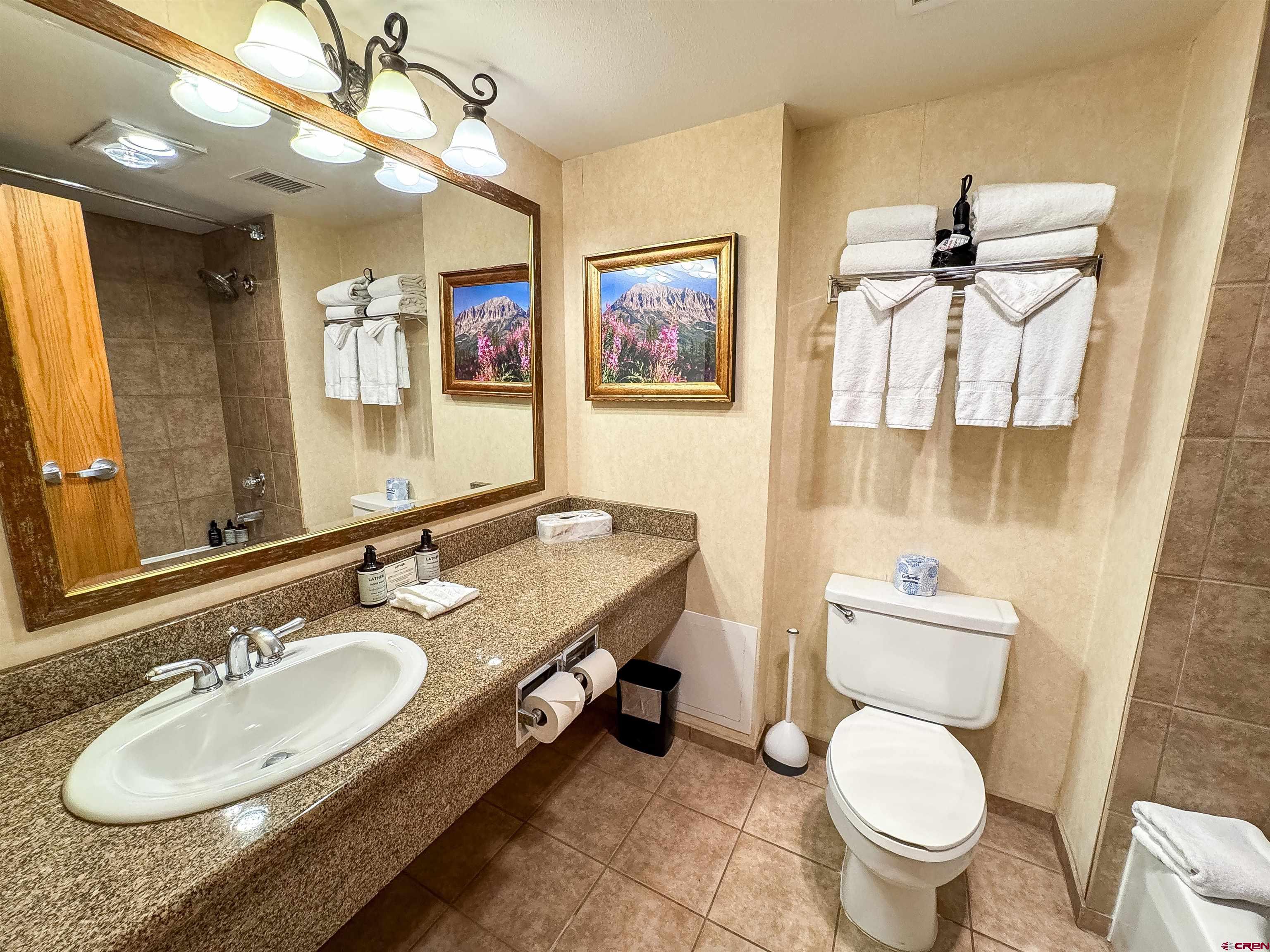 6 Emmons Road, Unit 125 Crested Butte, CO 81225 - Photo 33 of 42 a bathroom with a granite countertop double vanity sink mirror and toilet