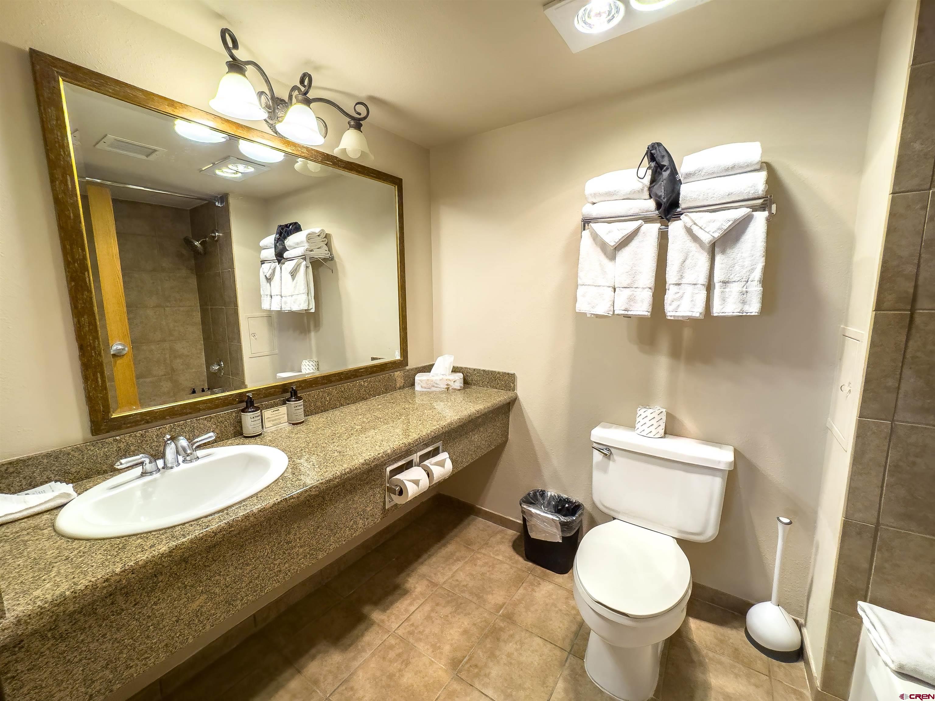 6 Emmons Road, Unit 125 Crested Butte, CO 81225 - Photo 35 of 42 a bathroom with a granite countertop toilet a sink and a mirror