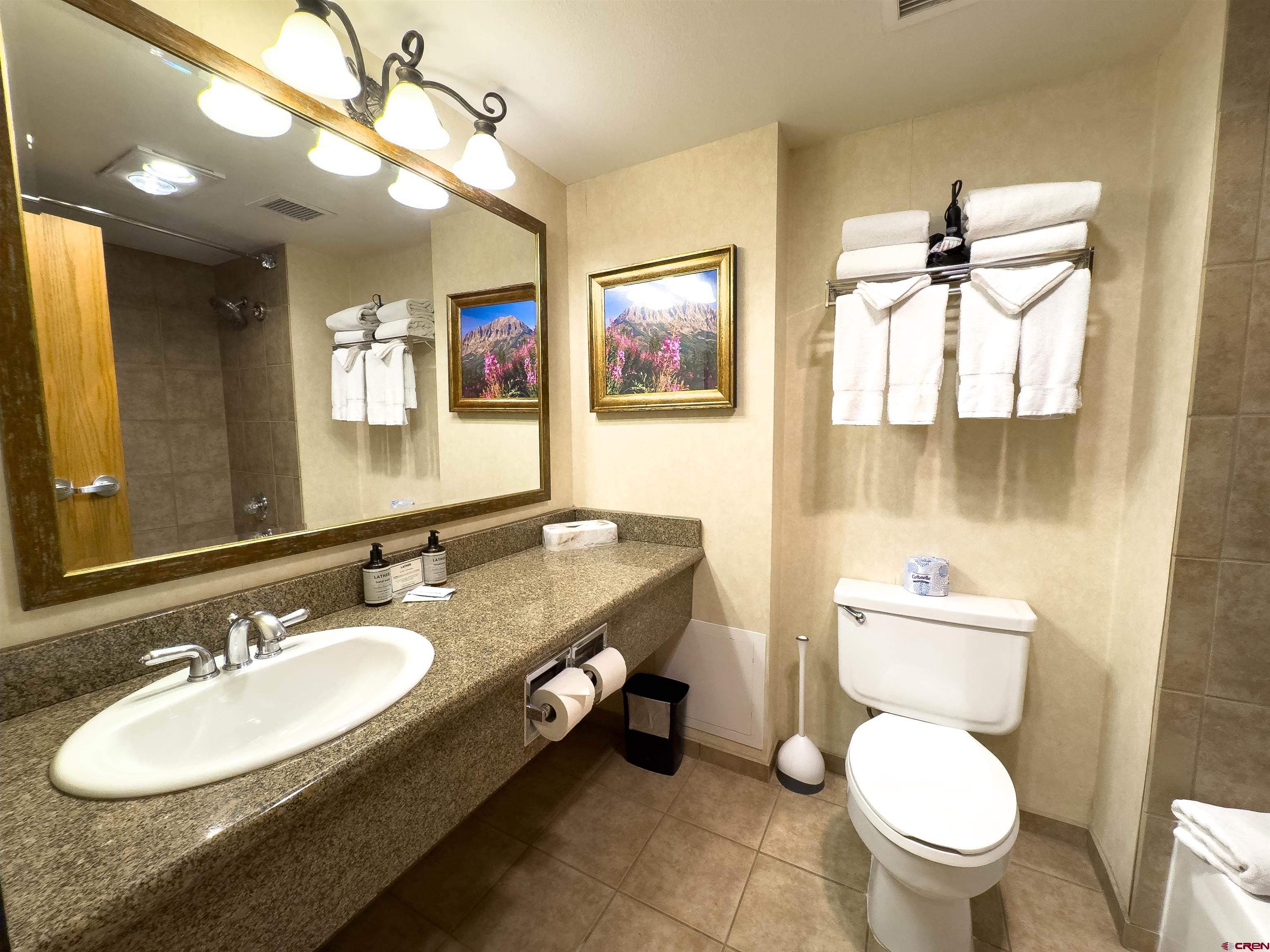 6 Emmons Road, Unit 125 Crested Butte, CO 81225 - Photo 38 of 42 a bathroom with a granite countertop double vanity sink mirror and toilet