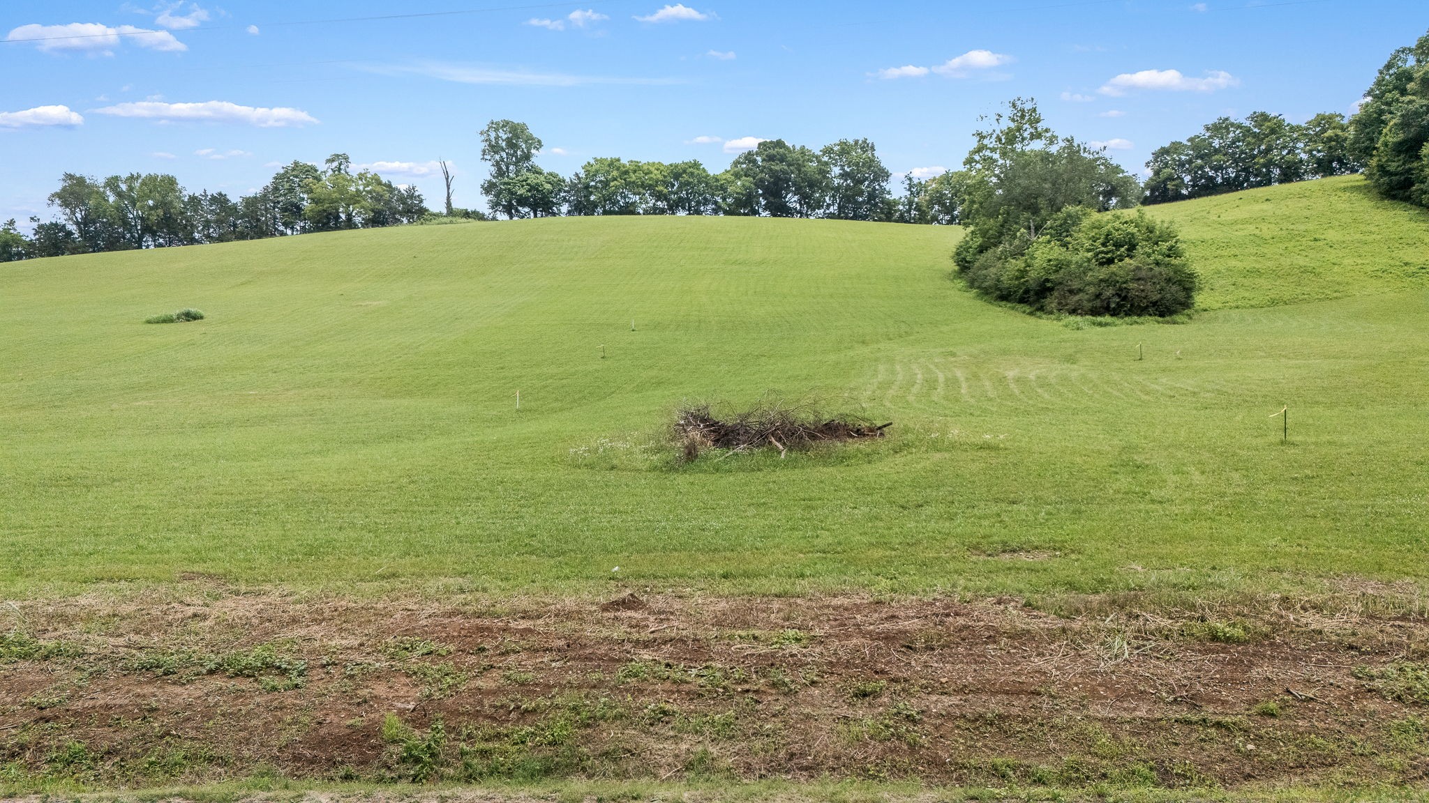 0 Pleasant Hill Road Lynchburg, TN 37352 - Photo 18 of 25