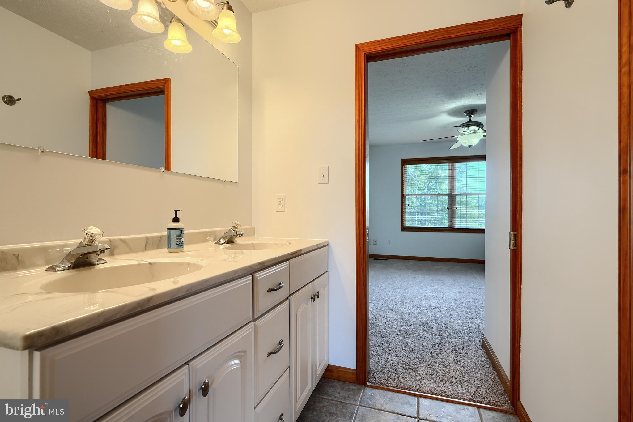 522 Little New York Road Rising Sun, MD 21911 - Photo 53 of 72 a en suite bathroom with a sink and a mirror