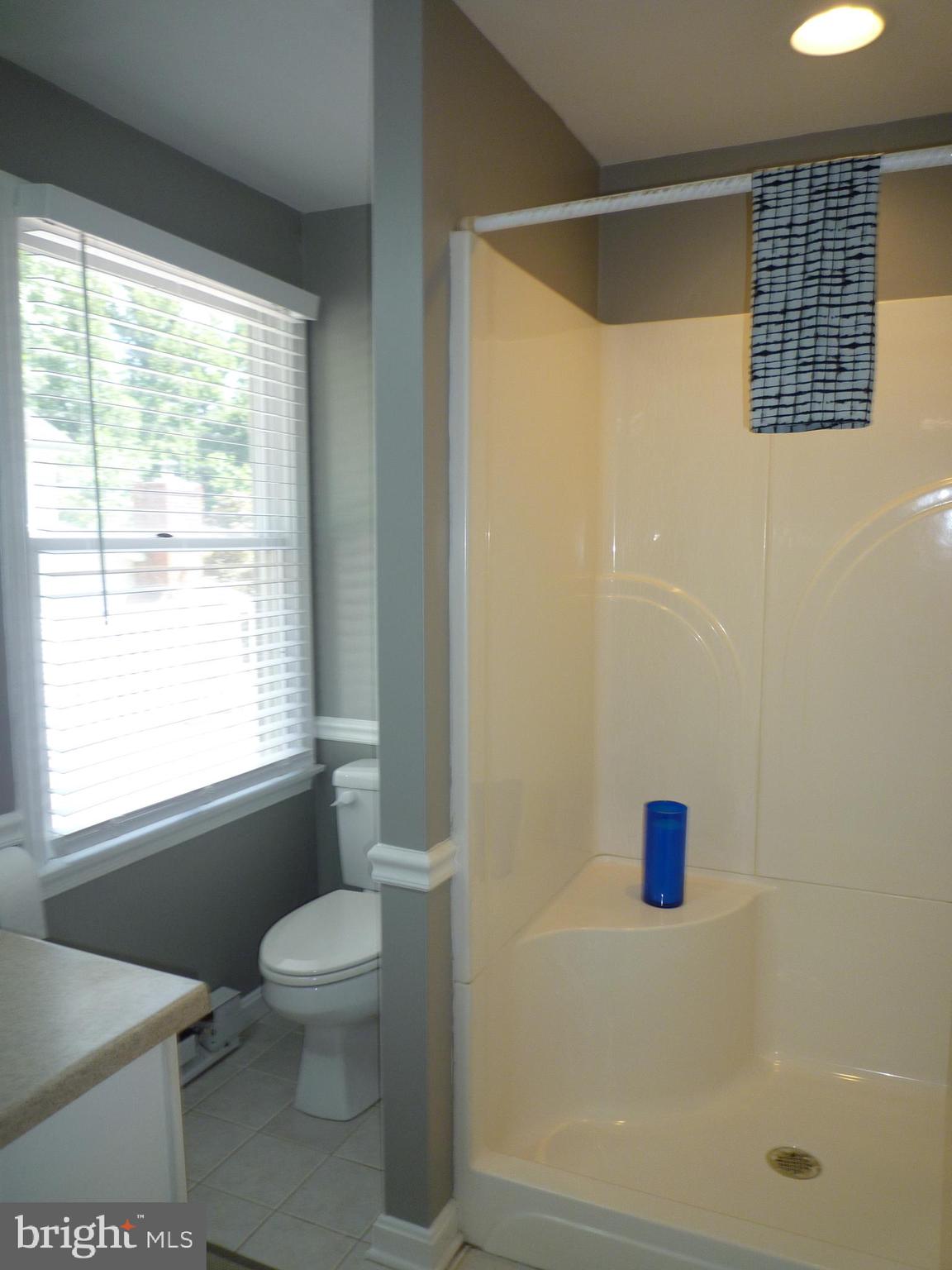 15 University Avenue Baltimore, MD 21228 - Photo 27 of 27 Master Bath
