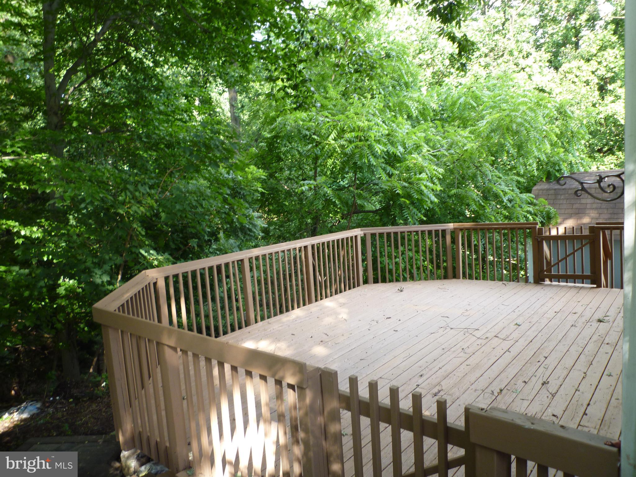 15 University Avenue Baltimore, MD 21228 - Photo 9 of 27 Rear Deck w/View to the Woods