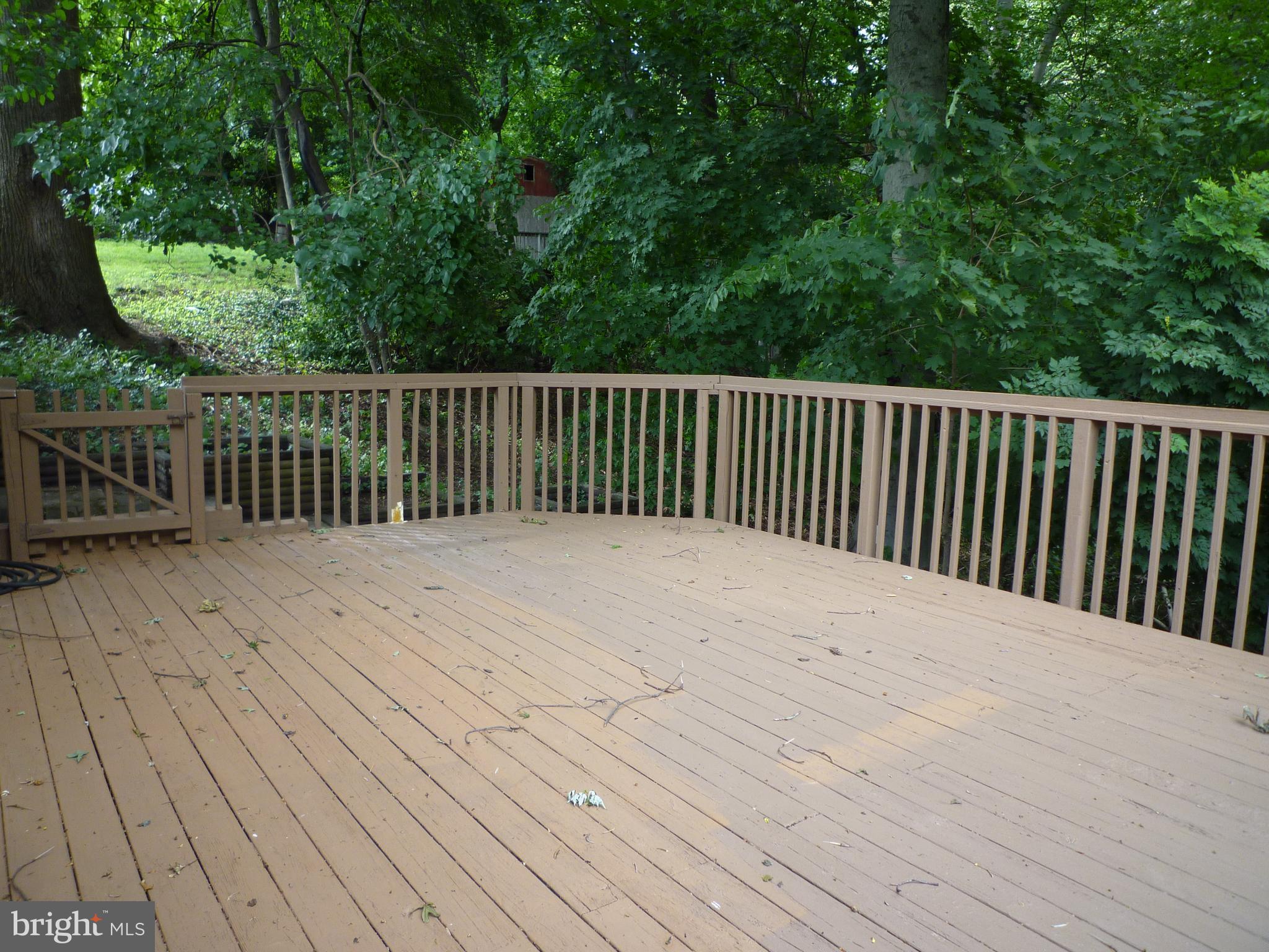 15 University Avenue Baltimore, MD 21228 - Photo 10 of 27 Rear Deck w/View to the Woods