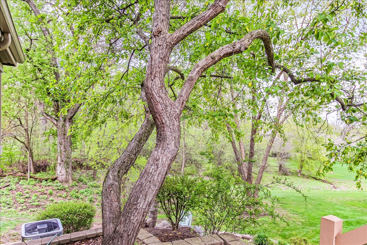 789 Oak Hill Road Lake Barrington, IL 60010 - Photo 22 of 35