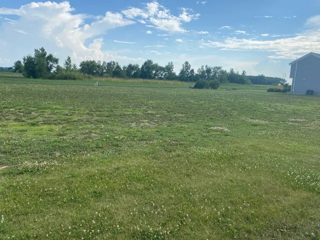 a view of a field with an ocean