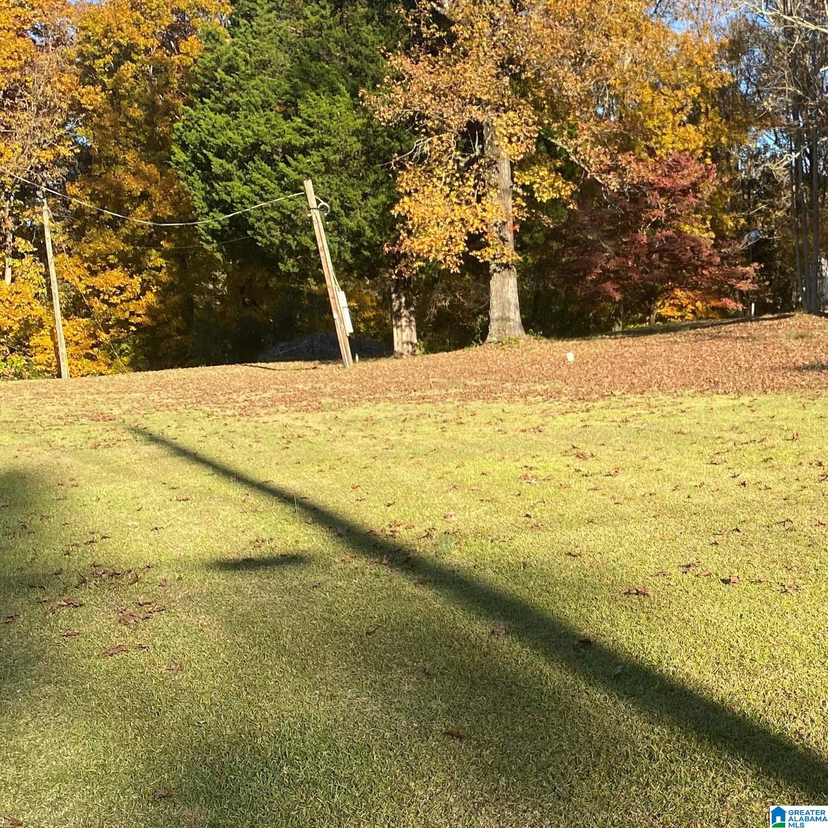 0 Oscar Bradford Road Hayden, AL 35079 - Photo 2 of 6