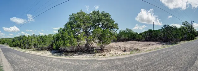 a view of a dry yard with trees in the background