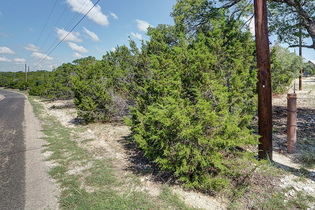 570 Ranch Rim Drive West, Unit 455 Ingram, TX 78025 - Photo 4 of 19 a view of a yard with plants and large trees