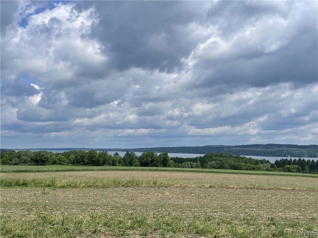 1676 West Lake Road Skaneateles, NY 13152 - Photo 5 of 9