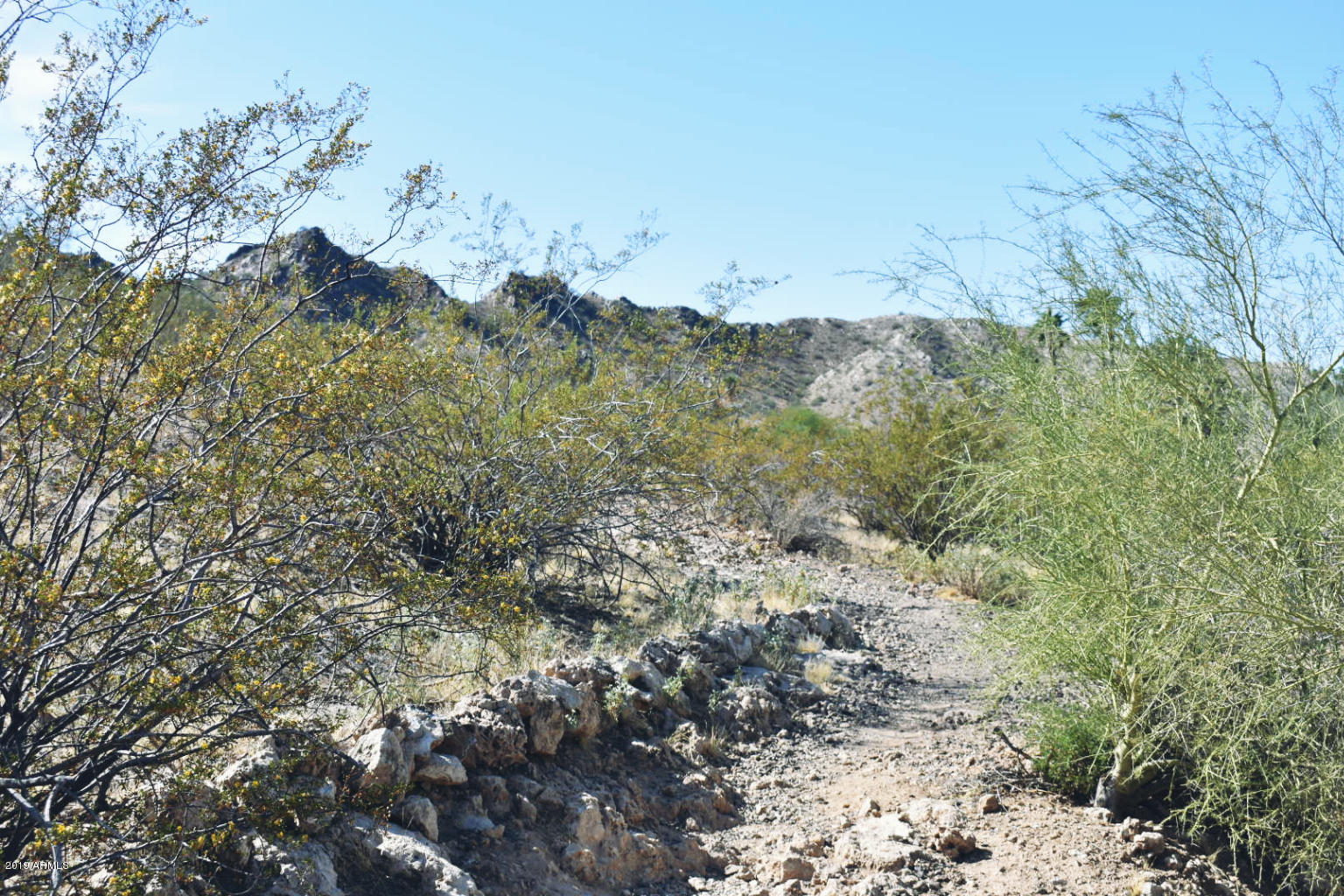 2431 East Cochise Road Phoenix, AZ 85028 - Photo 39 of 39 PhotoEditor_20191030_181926264