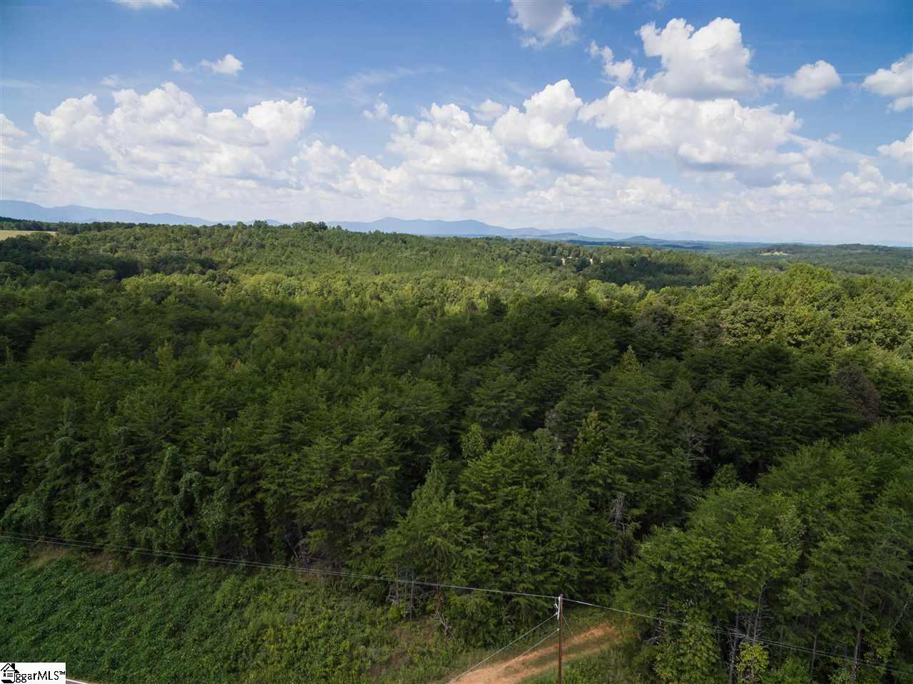 2060 Melvin Hill Road Campobello, SC 29322 - Photo 35 of 35