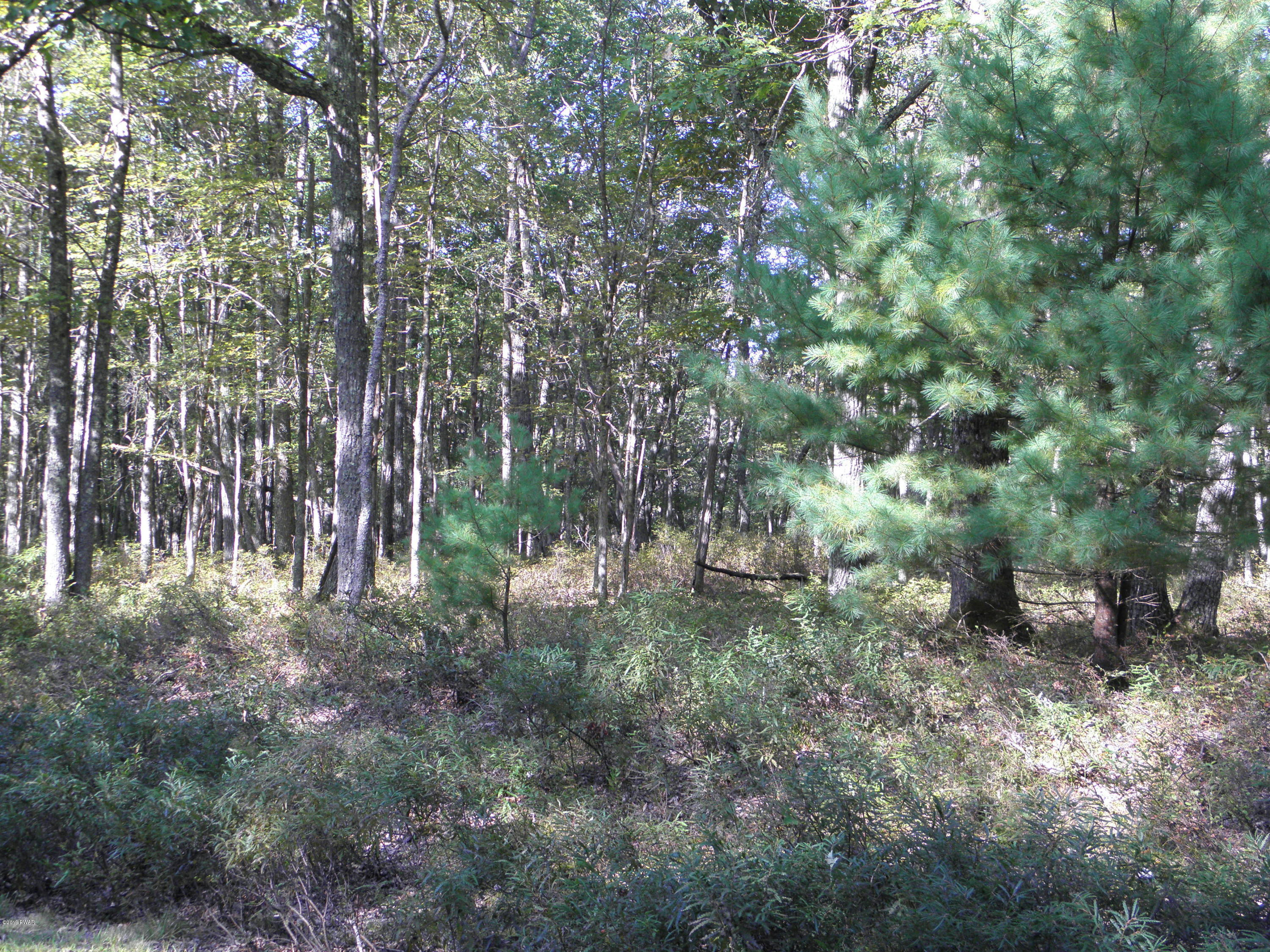 Briarcrest Road Harford, PA 18428 - Photo 1 of 4