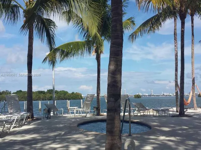 a view of a palm yard with palm trees