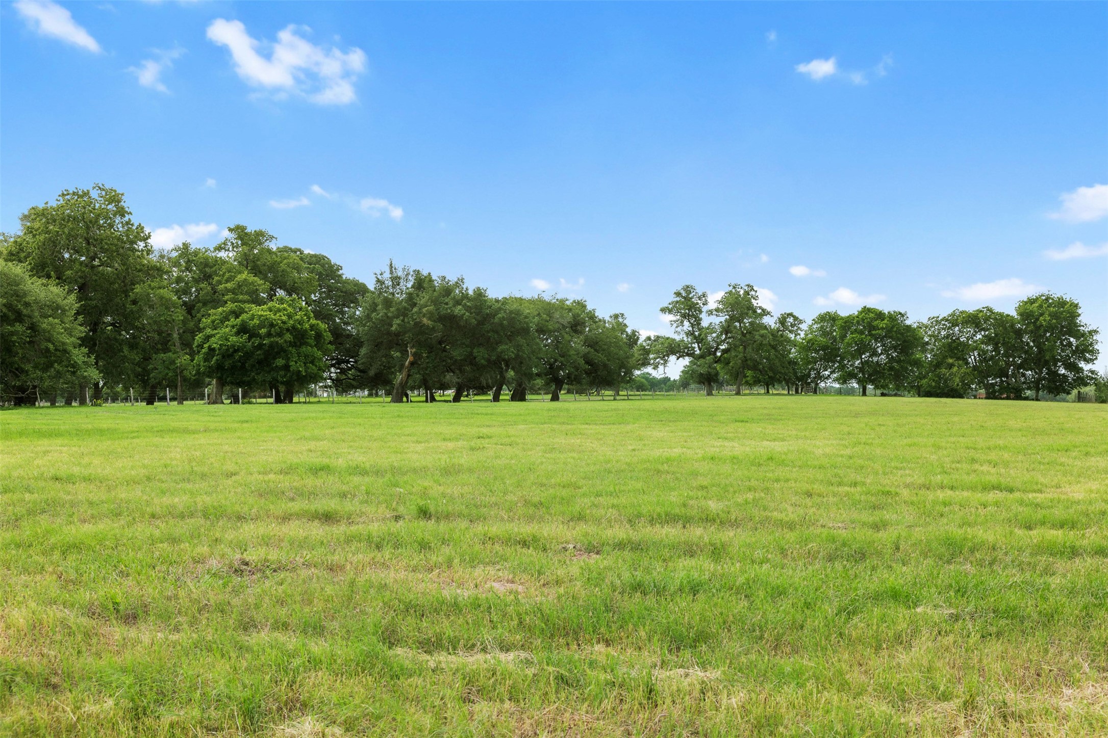 957 St Schulenburg Tx 78956 Schulenburg, TX 78956 - Photo 16 of 22 a view of a green field