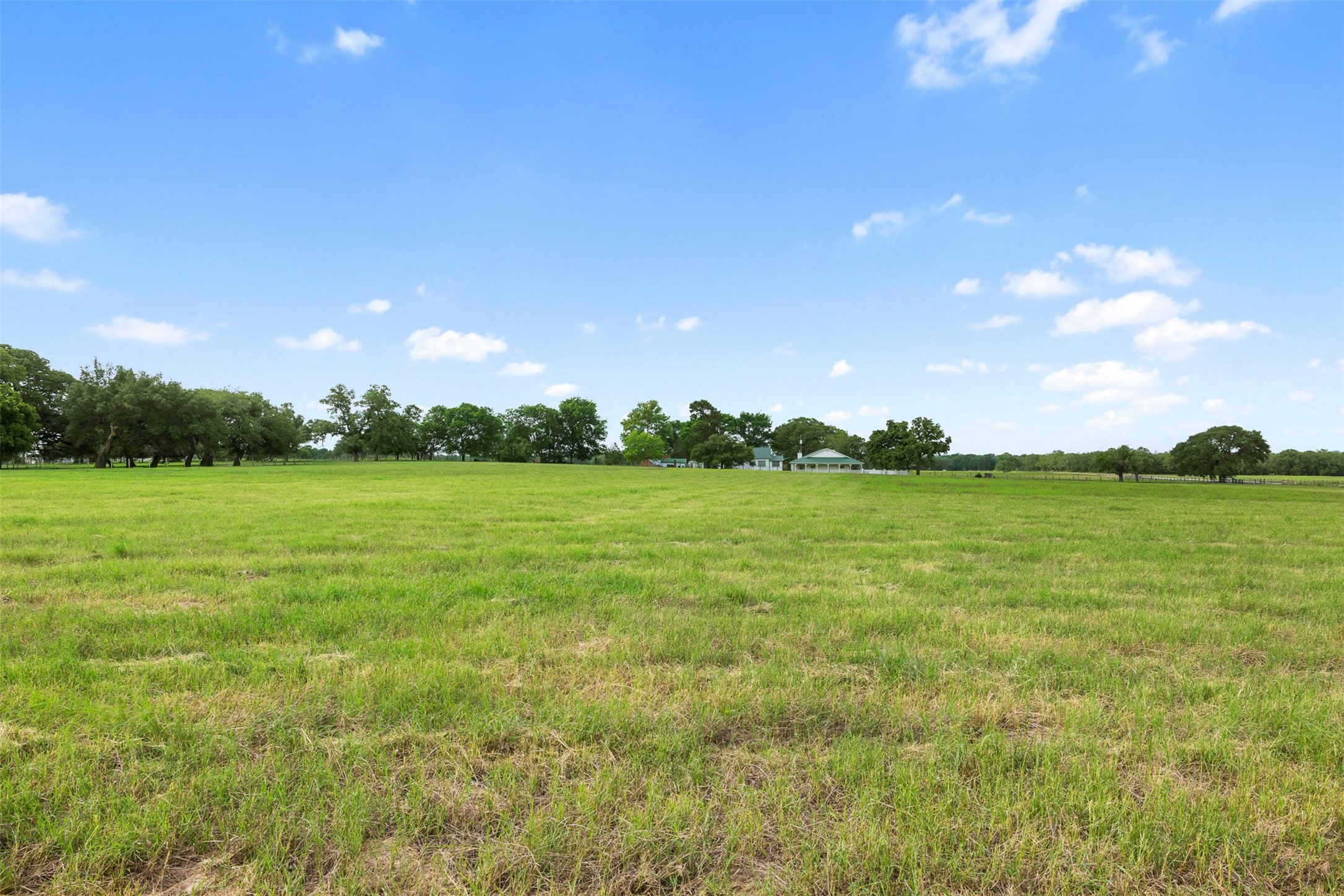957 St Schulenburg Tx 78956 Schulenburg, TX 78956 - Photo 17 of 22 a view of yard with an trees and a yard