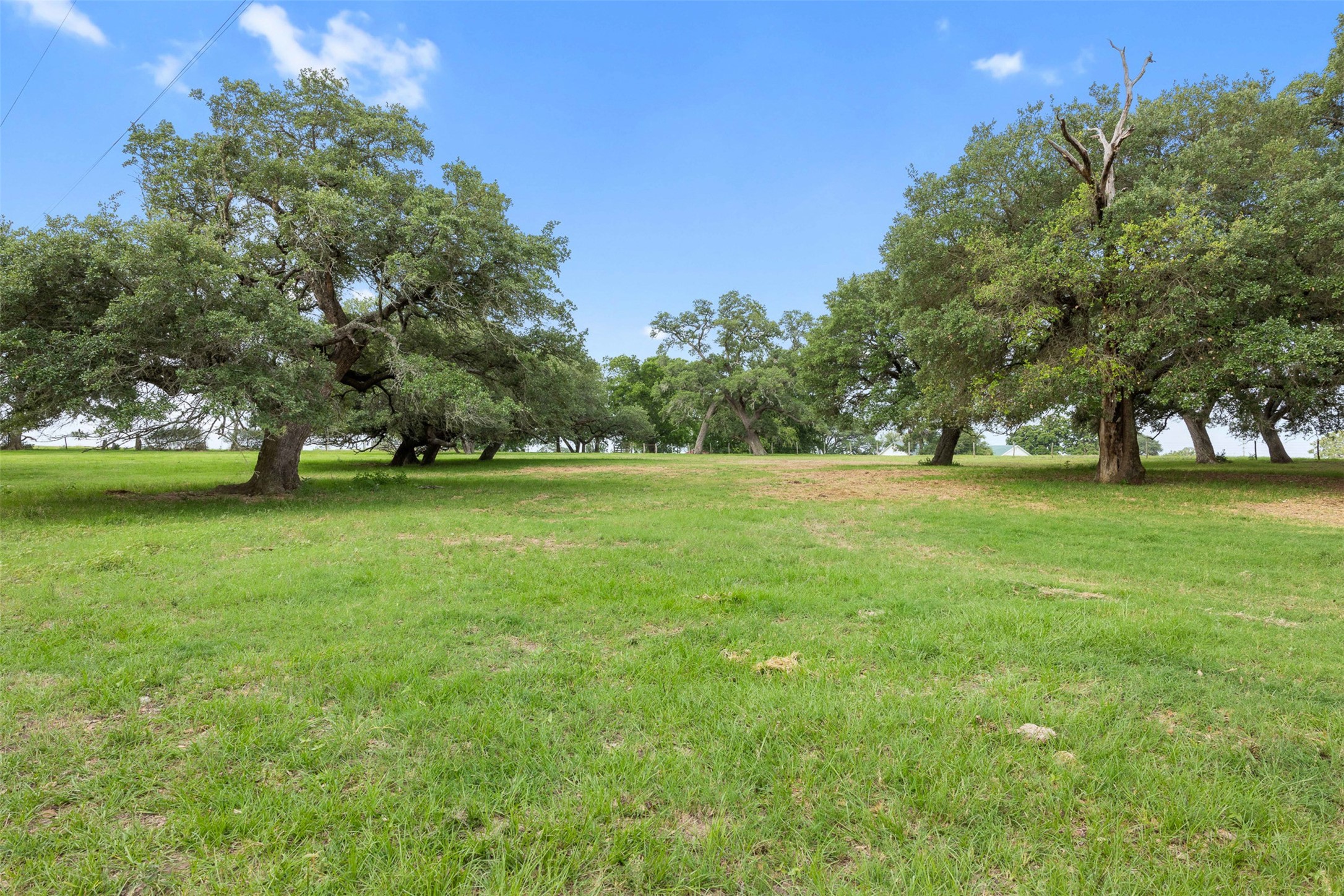 957 St Schulenburg Tx 78956 Schulenburg, TX 78956 - Photo 2 of 22 a view of outdoor space with deck and yard
