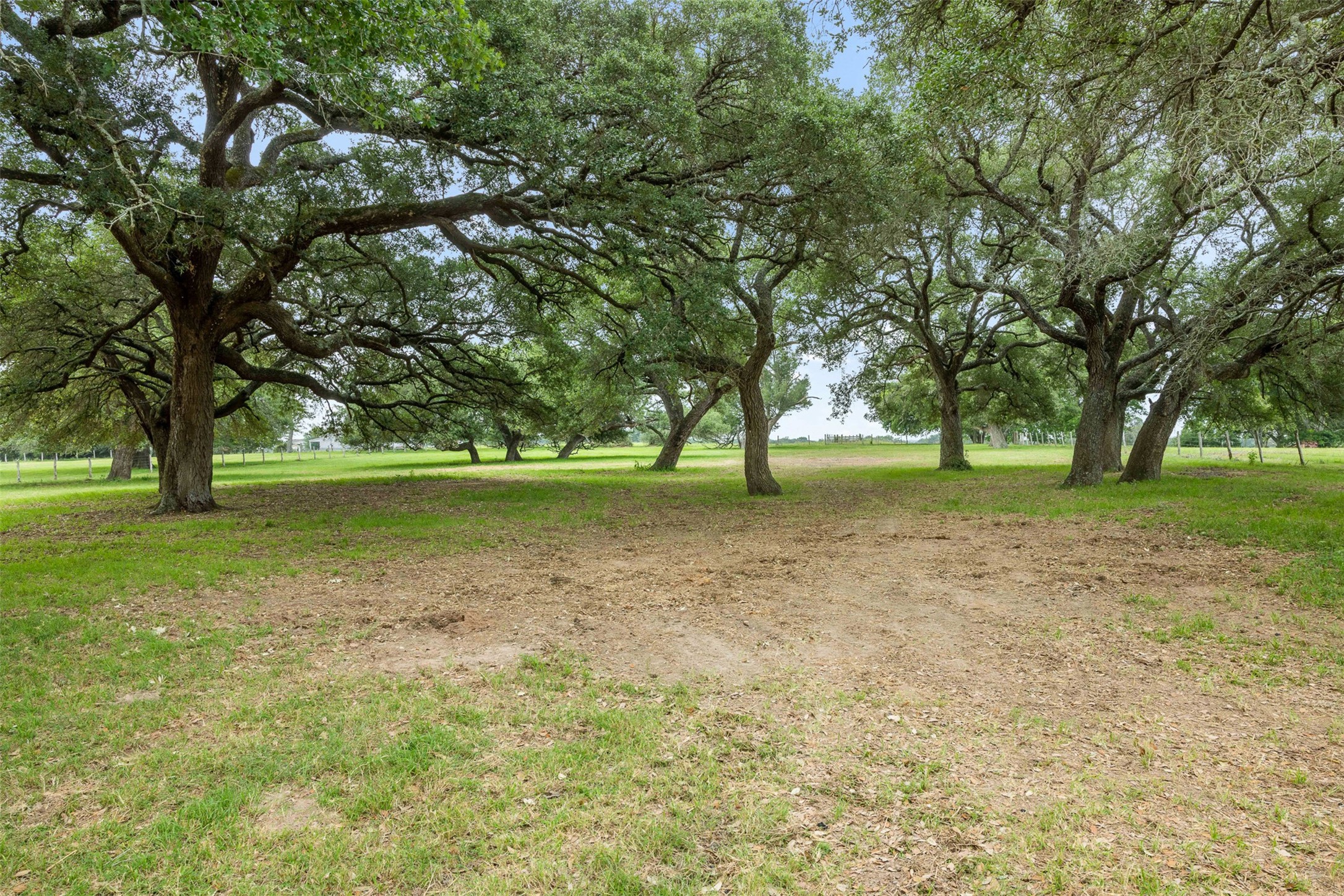 957 St Schulenburg Tx 78956 Schulenburg, TX 78956 - Photo 4 of 22 a view of outdoor space with deck and trees