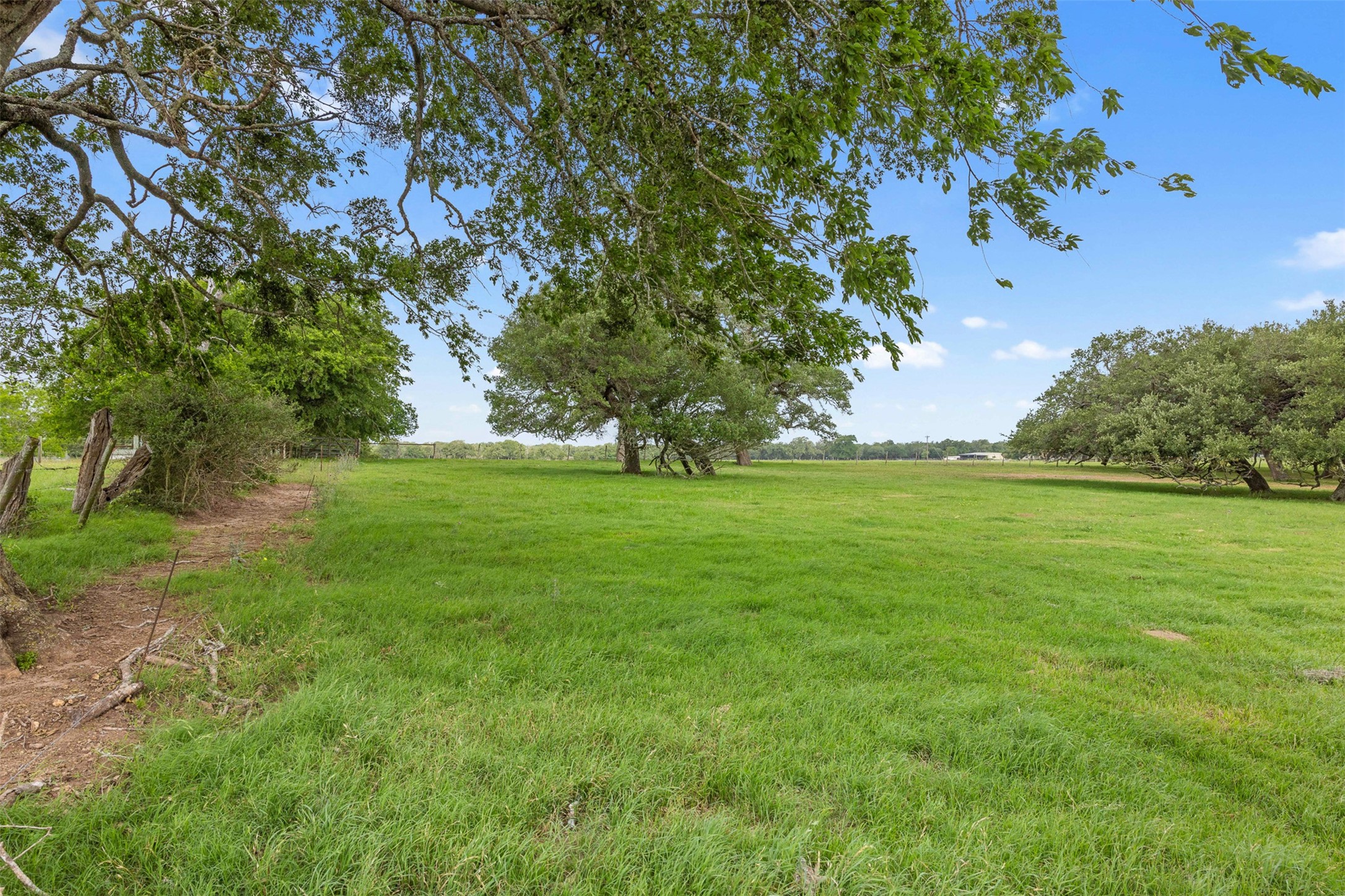 957 St Schulenburg Tx 78956 Schulenburg, TX 78956 - Photo 9 of 22 a backyard of a house with lots of green space