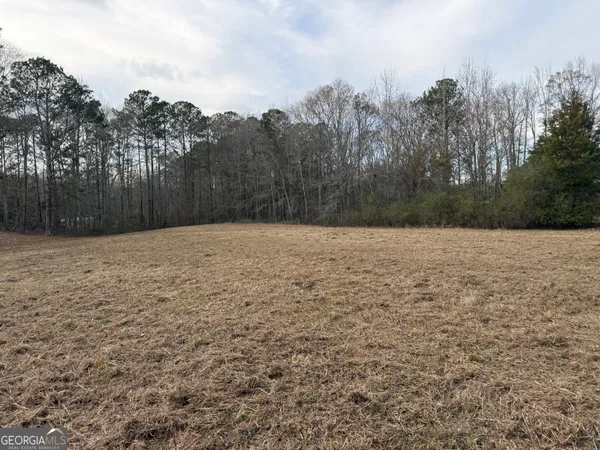 $43,900 | 2.83-acres Williams Road, Shiloh, GA 31826