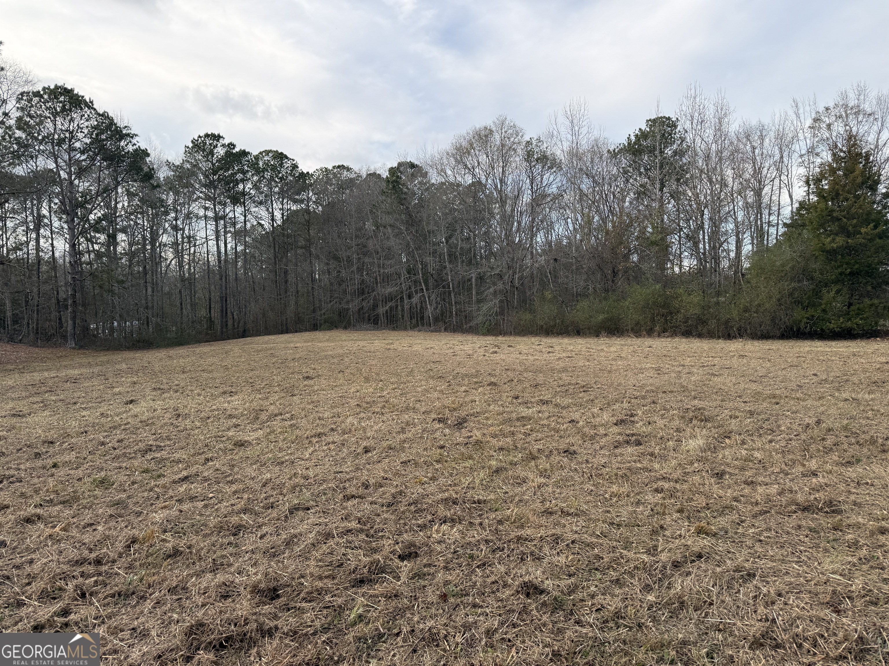 2.83-acres Williams Road Shiloh, GA 31826 - Photo 11 of 22