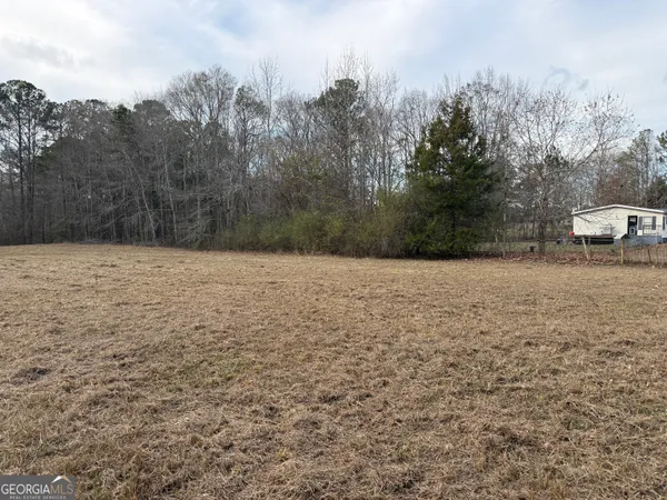$43,900 | 2.83-acres Williams Road, Shiloh, GA 31826