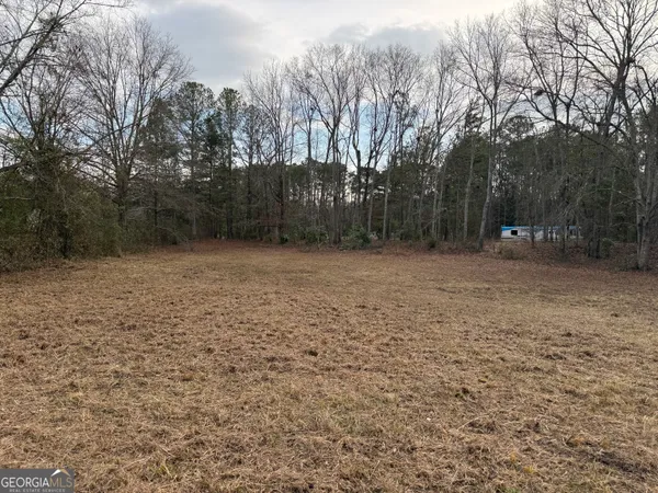 $43,900 | 2.83-acres Williams Road, Shiloh, GA 31826
